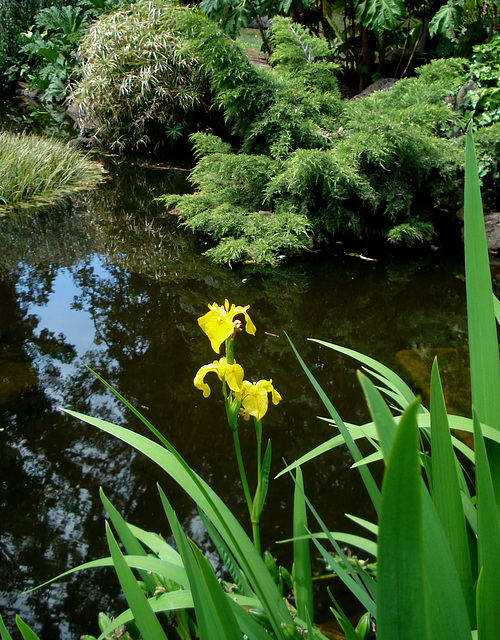 Fitzroy Gardens, East Melbourne