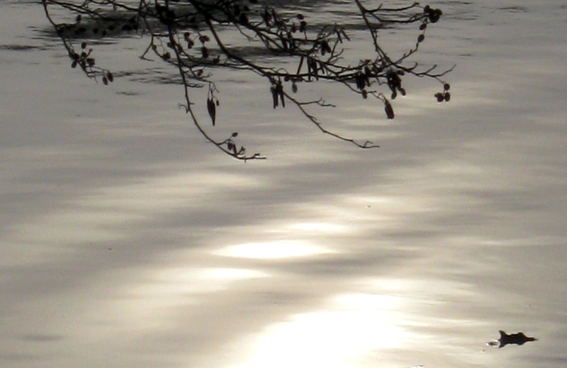 Softly Sinking...