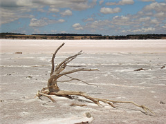 White Lagoon salt lake_3