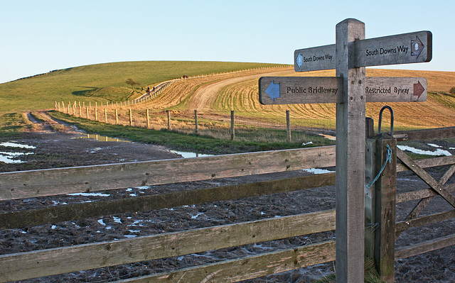 A walk on the Downs