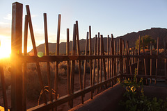 Fence, sunset