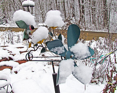 Whirligig in snow