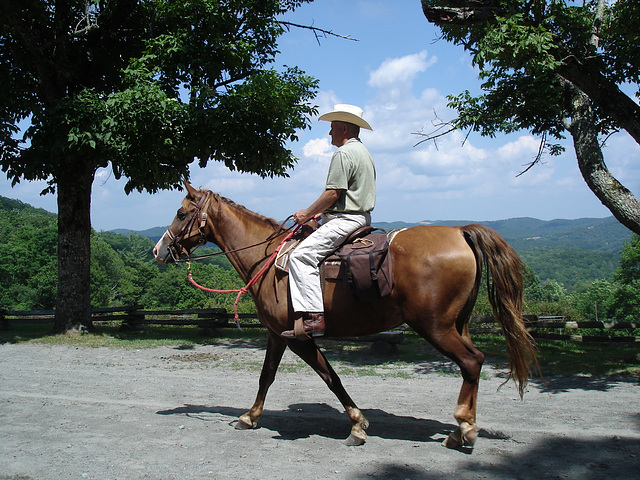 Lonesome cowboy / Cowboy solitaire.