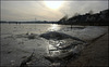 Frozen Beach