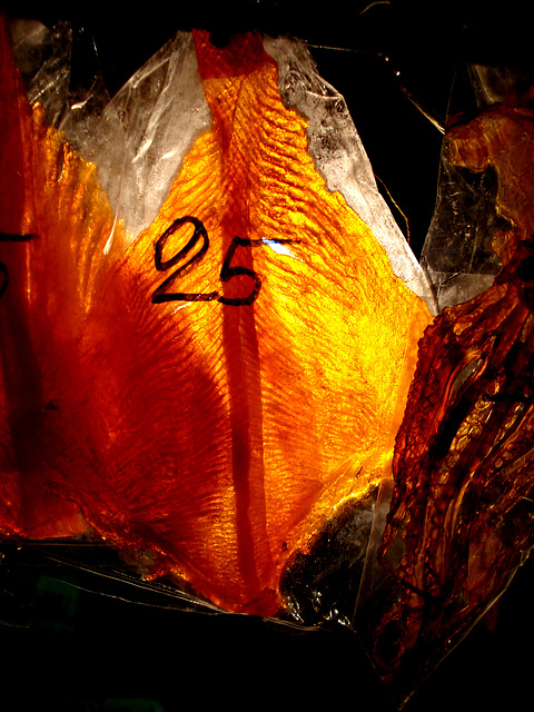 dried fish at night food stall