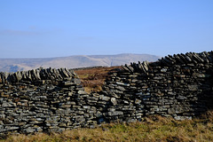 a wall with a view