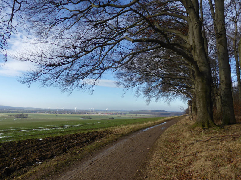 auf dem Gehrdener Berg