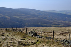 Bray Clough from above