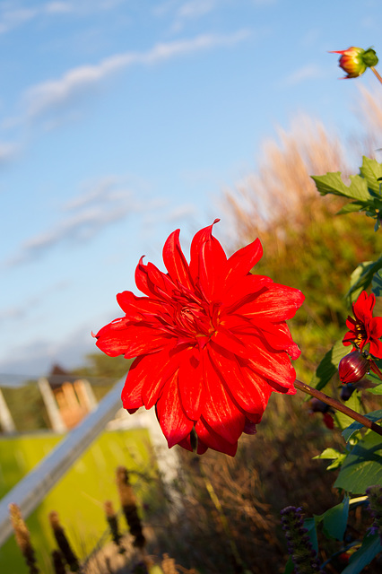 Floriade 2012