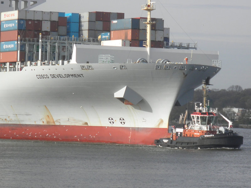 Schlepper vor COSCO  DEVELOPMENT