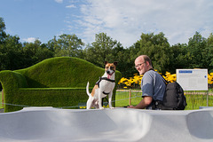 Jack Russell Rico auf der Floriade DSC07742-2