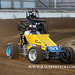 IMG_7176 copy