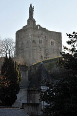 Donjon de Montbazon (Xe s.) - Indre-et-Loire