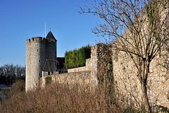 Château de Montbazon (Xe, XVe s.) - Indre-et-Loire