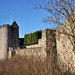 Château de Montbazon (Xe, XVe s.) - Indre-et-Loire