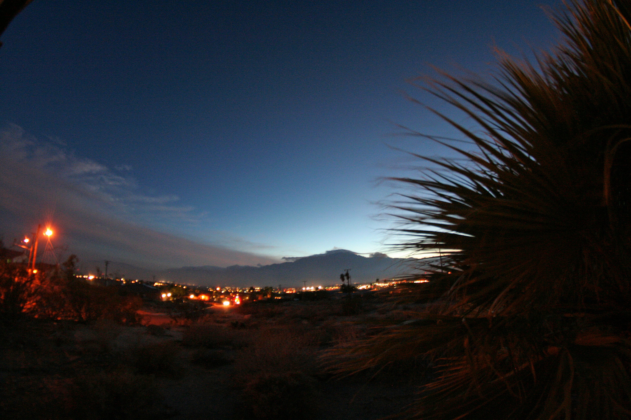 Miracle Manor's View (4160)