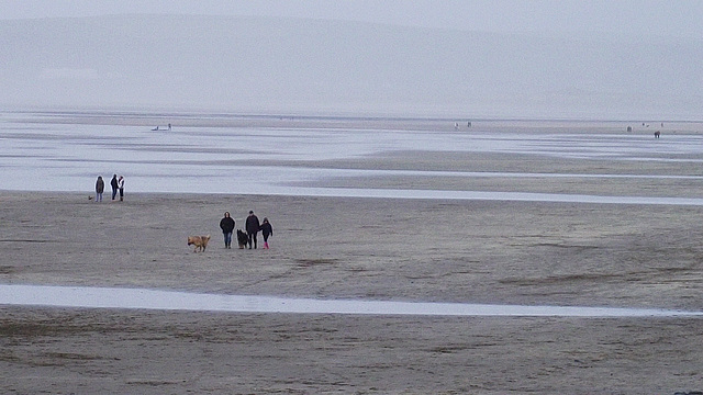 Some brave souls walking the beach