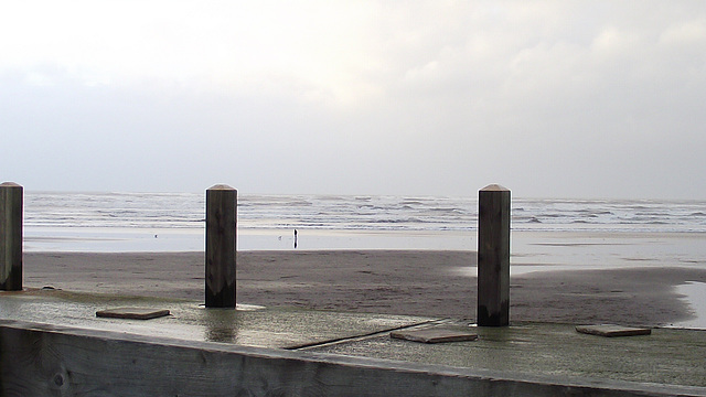 The wooden pilings are all ready for the summer