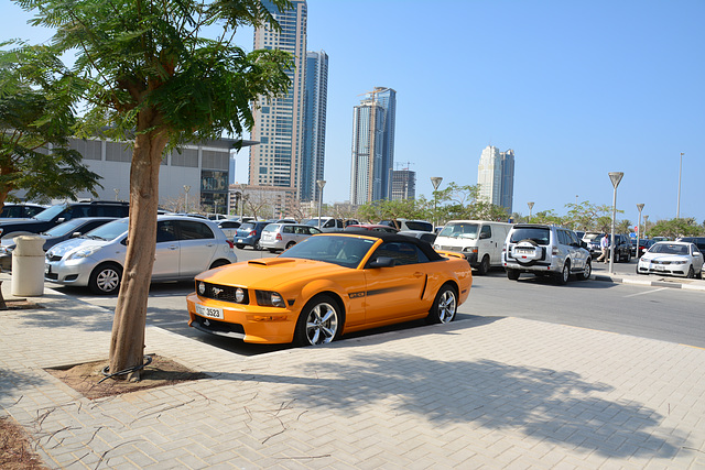 Sharjah 2013 – Orange Mustang