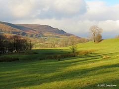 Wharfedale view