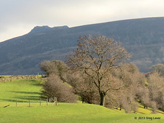 Simon's Seat