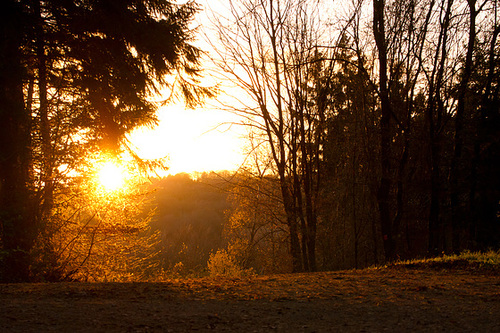 Sonnenuntergang DSC09126-1
