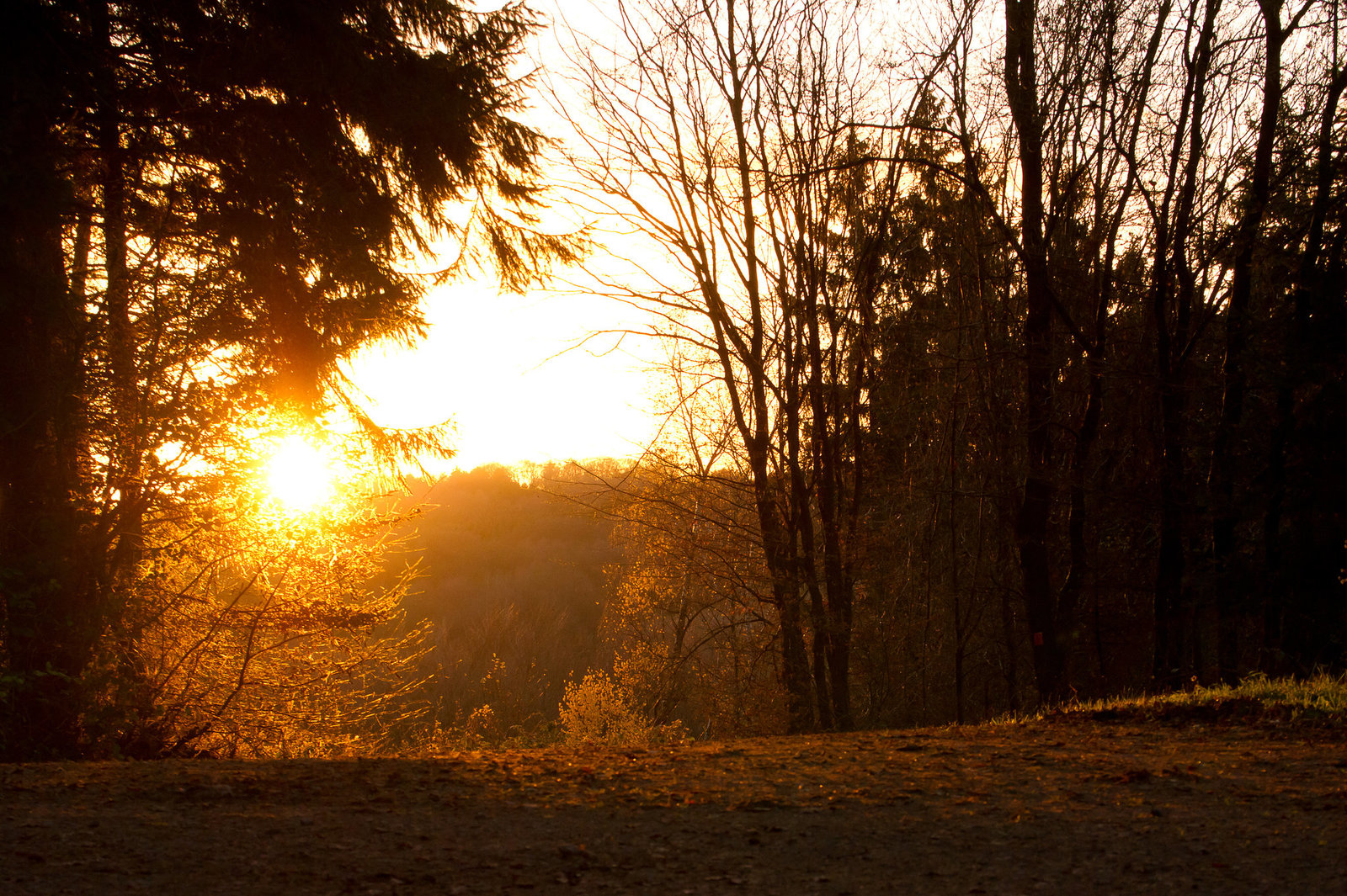 Sonnenuntergang DSC09126-1