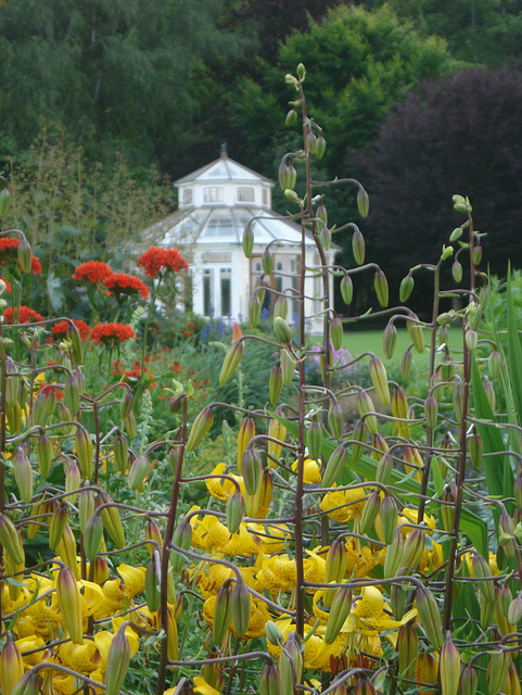 Göteborg, Botanischer Garten_4