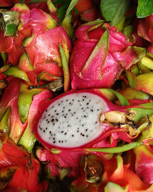 Dragonfruit