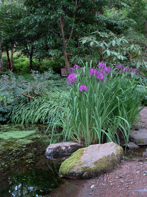 Göteborg, Botanischer Garten_8