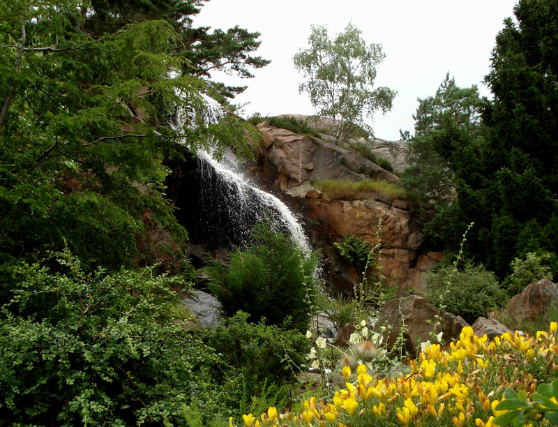 Göteborg, Botanischer Garten_10