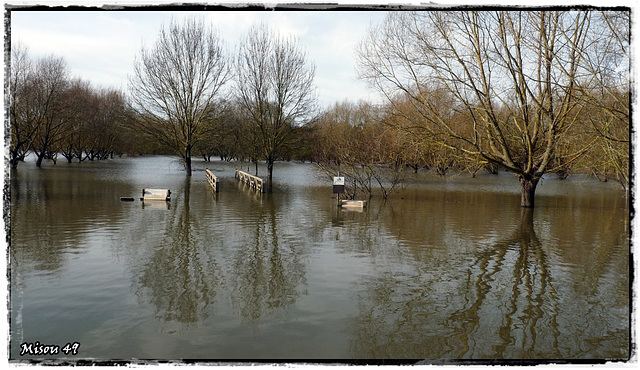 ANGERS