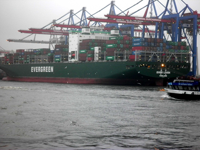 Containerschiff  EVER  LIVEN