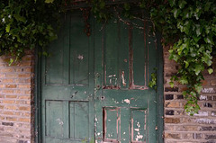 Green door