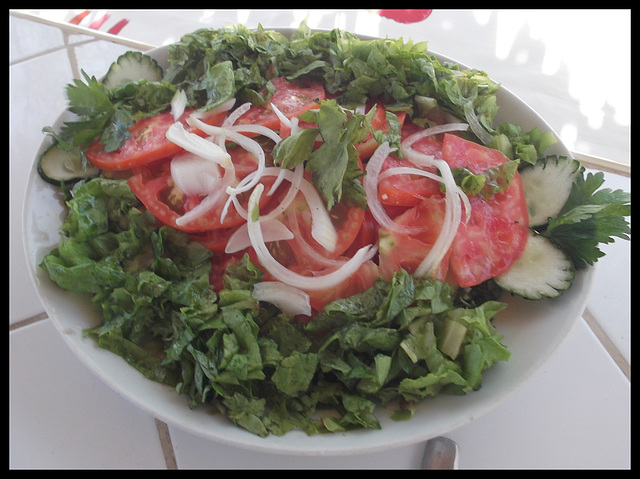 Ensalada mixta de vegetales / Salade végétarienne.