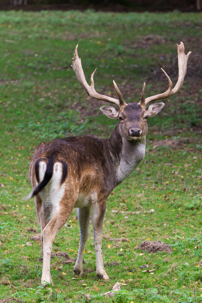 20131003-DSC03053.jpg