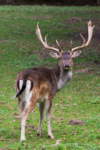 20131003-DSC03053.jpg