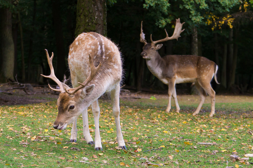 20131003-DSC03045.jpg