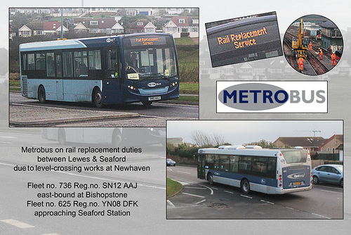 Metrobus 736 & 625 - Seaford - 22.12.2013