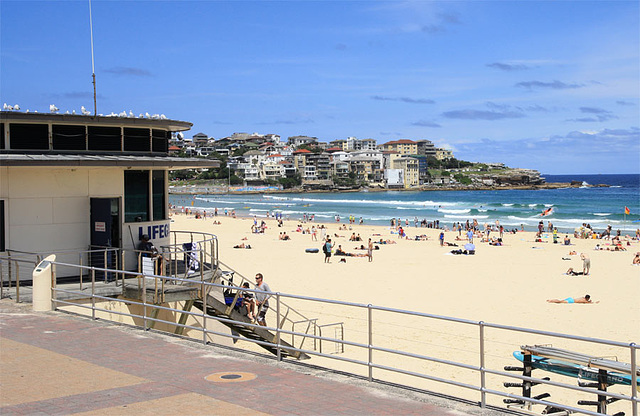 Bondi Beach