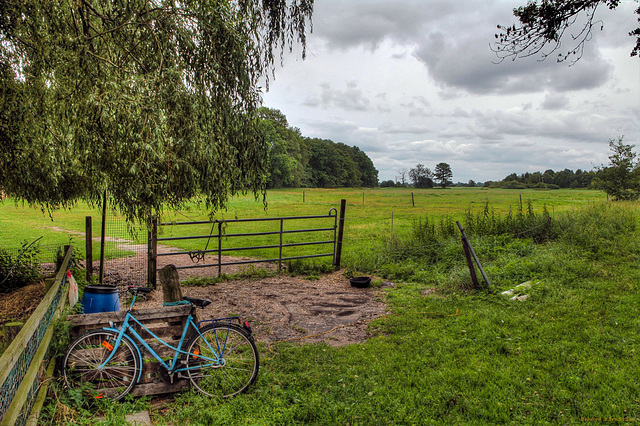 Fahrrad im Moor