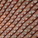 roof tiles