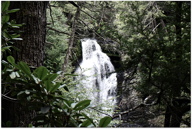 Dingmans Falls