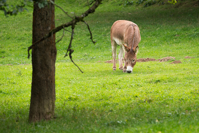 20130915-DSC02692.jpg