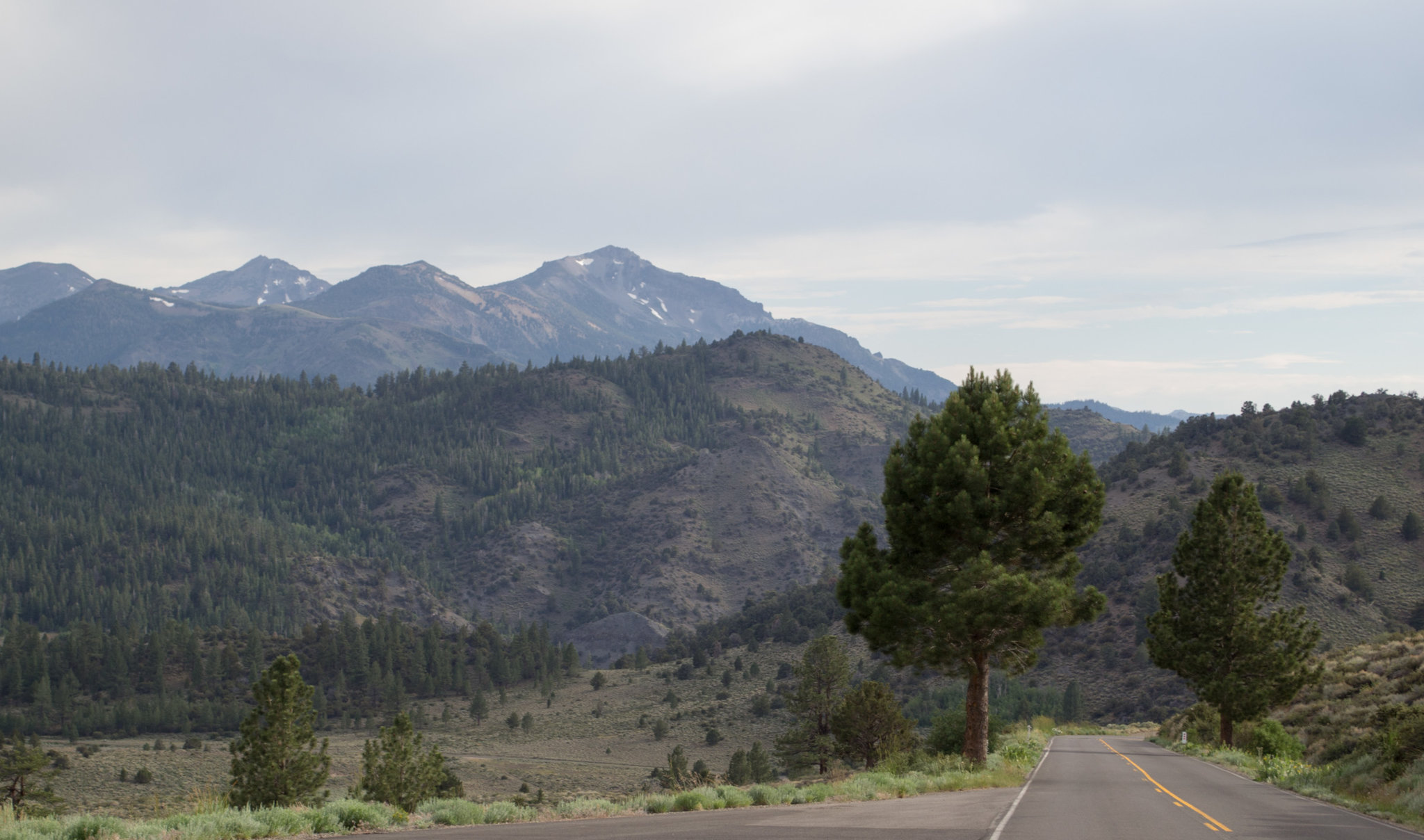 Sierras CA-89 (0333)