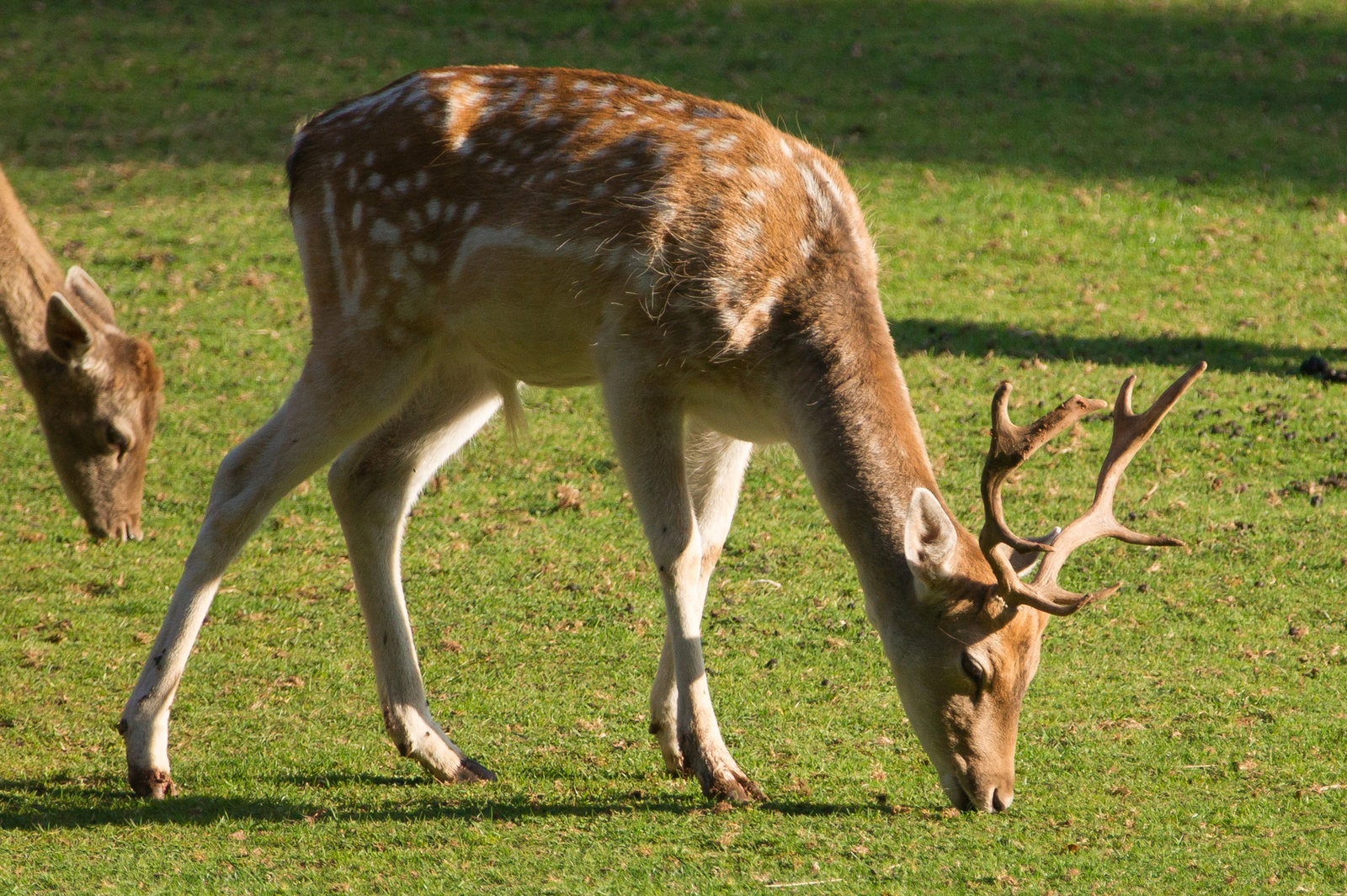 20130924-DSC00871.jpg