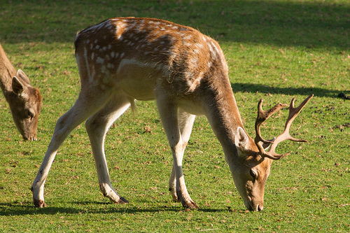 20130924-DSC00871.jpg