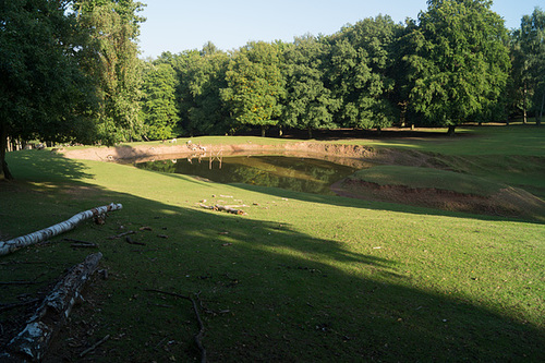 Damwild DSC02843.jpg