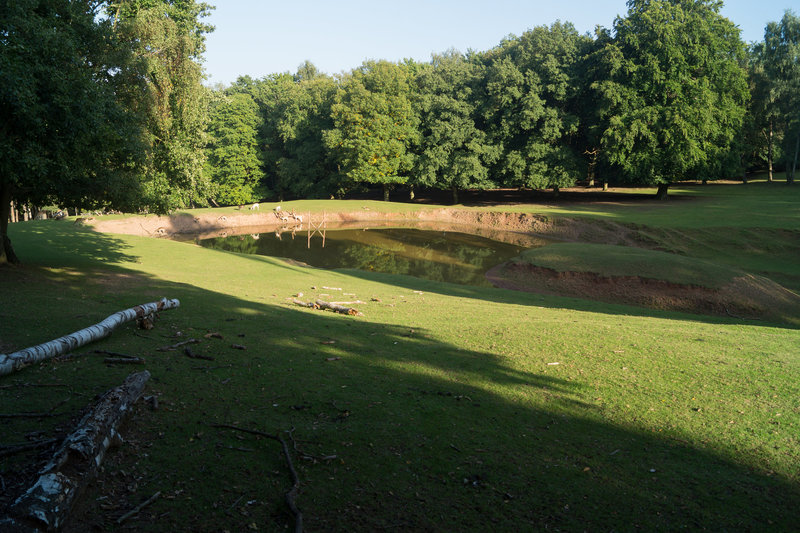 Damwild DSC02843.jpg