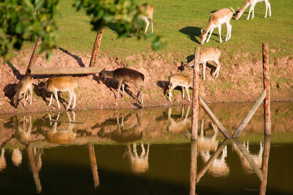 20130924-DSC00853.jpg